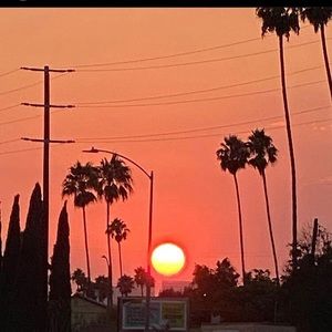 Meet your Posher, Maxwell